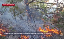 В Севастополе огнеборцы пытаются локализовать пожар площадью 17 гектаров