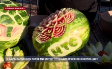 � �������������� ����� �������� �������� �������� �������-���