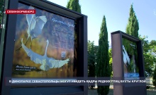 В Севастополе открылась фотовыставка, посвящённая редким видам птиц бухты Круглой