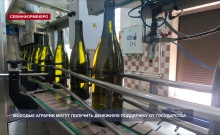 В винодельческом хозяйстве «Усадьба Перовских» работают 20 молодых специалистов