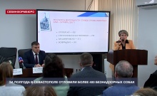 � ����������� � ��� �� ������� �������� ����� 400 ������������ ����� �� ������� ����