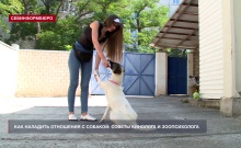 Как наладить отношения с собакой: советы кинолога