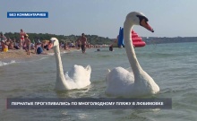 ����� ������ �������� �� ���� � ���������