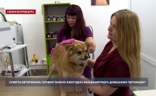 ������ ����������: ��� ���� ����� ��������� ���������� �������?