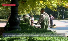 На Приморском бульваре специалисты следят за кустарниками и клумбами