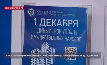 В Управлении Федеральной налоговой службы по Севастополю провели день открытых дверей для граждан