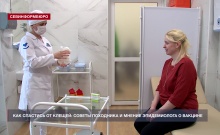 Одежда, осмотр и вакцина: как снизить риск укуса клеща
