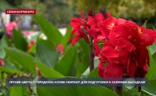 � ����������� ������� ������ ����� � ��������� ����� ��� ���������� � ������� ��������