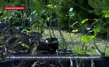 �� ������� ���������� �������� 80 ������ ��������� ��� ������ ��������� � 25 ���