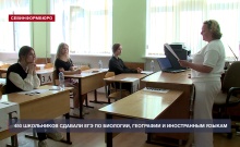 450 севастопольских школьников сдавали ЕГЭ по биологии, географии и иностранным языкам