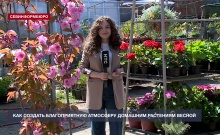 ��� ������� ������������� ��������� �������� ��������� ������ � ������ ���������