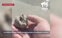 �� ������ ����� ���������� ������ �� ���������� �����