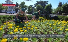 Специалисты ГБУ «Парки и скверы» высадили цветы на площади Ушакова