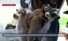 � �������������� ����� �������� ���������� � �������� ���������� � ��������