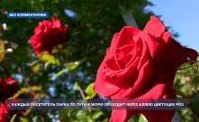������ ���� ����������� ����� ����� ��. ��������� ������������ � ���� ���