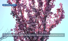 �� ����� �� ������� ��������� ����������� � ���������� � �������� ������� ������