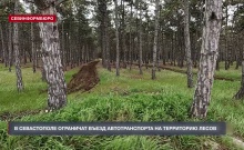 В Севастополе ограничат въезд автотранспорта на территорию лесов