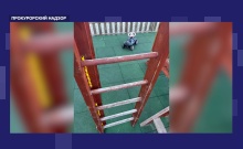 ���������� ����������� ���������� ����� ����� �� ���������� ������ � ������������ ����������