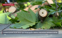 � ����������� ����� �������� ���������� ������� ���������� ������� � �����