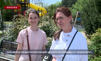 Мнение: Опасаетесь ли вы укусов клещей? Делаете ли прививки от энцефалита?
